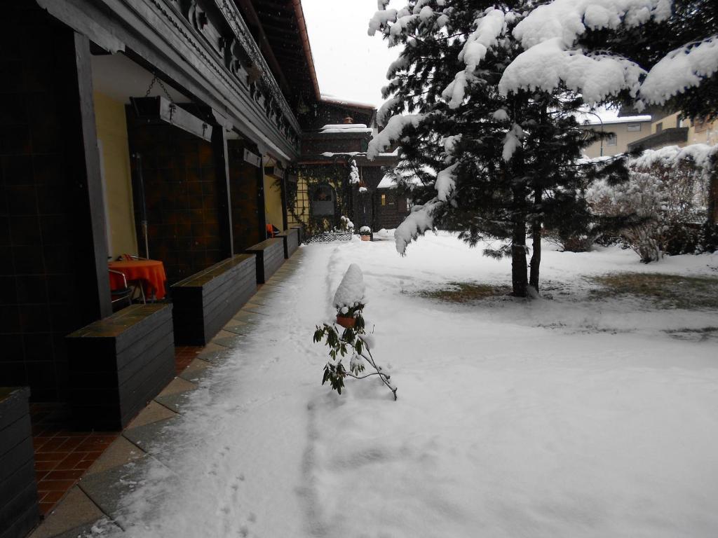 Alpen-appartementhof Appartamento